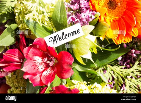 Willkommen Sie Karte mit Blumenstrauß Stockfotografie - Alamy