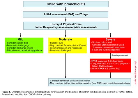 Bronchiolitis: Update on Diagnosis and Management of Viral ...