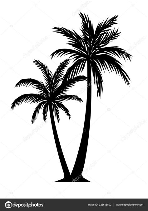 Palm tree silhouette detail illustration black and white Stock Vector ...