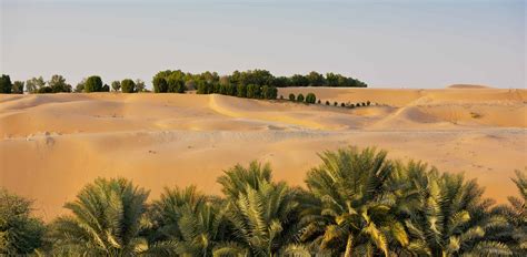 Liwa Oasis | UAE Luxury Travel | Remote Lands