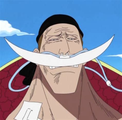 Whitebeard died at what age? - The One Piece Trivia Quiz - Fanpop