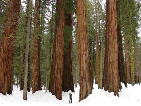 Your Winter Guide to Northern California Vacations – The Bold Italic