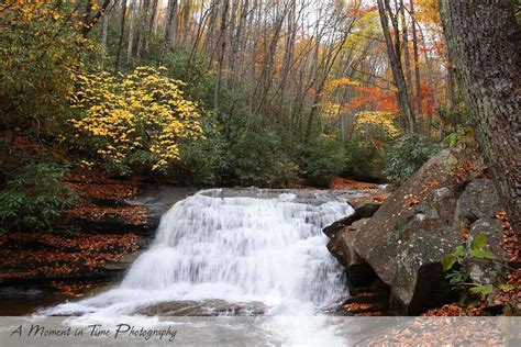 Brevard North Carolina Photography