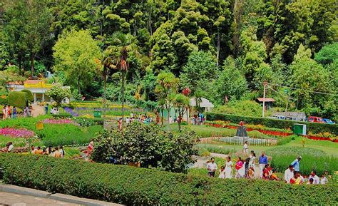 Kodaikanal hill station | Welcomenri