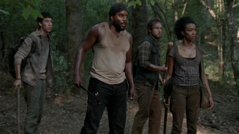 Tyreese Williams's Group (TV Series) | Walking Dead Wiki | FANDOM ...