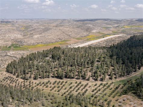 Deserts Map, Natural Habitat Maps - National Geographic