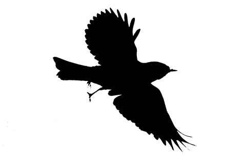 Free Bird Silhouette Clip Art | Free download on ClipArtMag