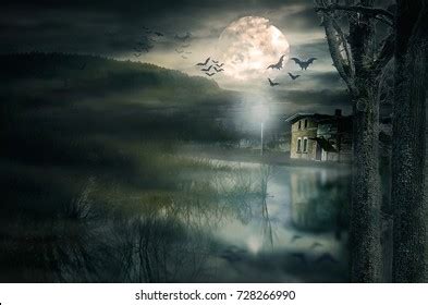 Halloween House Moon Bats Stock Photo 728266990 | Shutterstock