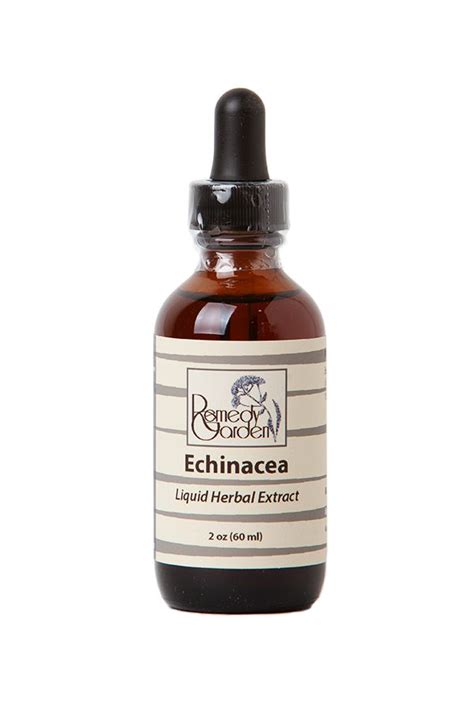 Echinacea - Remedy Garden | Herbal Apothecary | Northern California