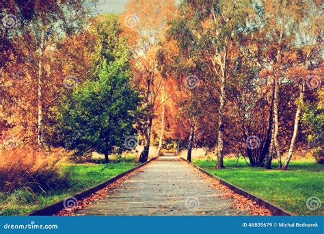 Autumn, Fall Park. Wooden Path, Colorful Leaves on Trees Stock Image - Image of park, golden ...