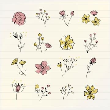 Free Vector | Various flowers doodle collection vector