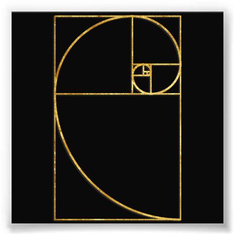 Golden Ratio Sacred Fibonacci Spiral Photo Print | Zazzle.com in 2020 ...