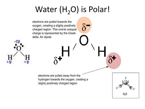 Ch4 Polar Or Nonpolar Atom Closest To Negative Side - PPT ...