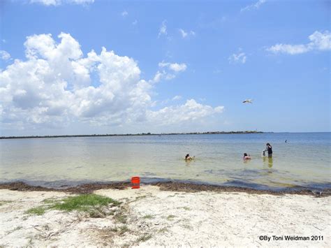 Green Key Beach At Rees Memorial Park | Florida Homes For Sale