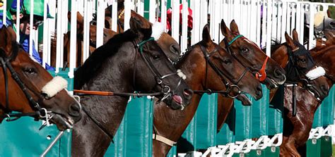 Leopardstown Races Photos and Images | Getty Images