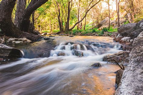 Peaceful River in Nature Poster Painting by Phillips Thomas - Fine Art America