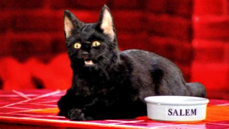 Sabrina: 10 Facts About Salem, Her Cat