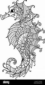 Seahorse For coloring Book Page Adult Or Print On Product  sketch template