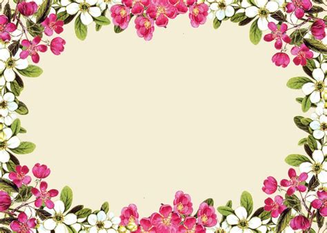 Pink Flower Frame Photos Transparent HQ PNG Download | FreePNGImg