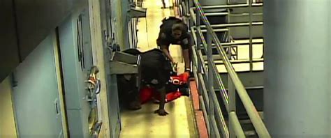 New Video Shows Teen Slammed by Guard, Beaten by Inmates in Rikers Island Jail - ABC News