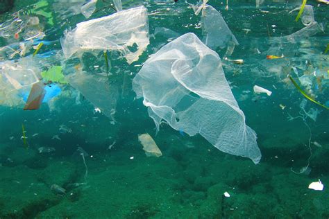 Plastic Pollution in the Ocean, Common Causes & Ways to Reduce