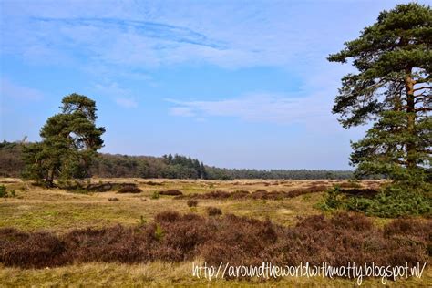 Around the world in .... days: Picture monday: Veluwe