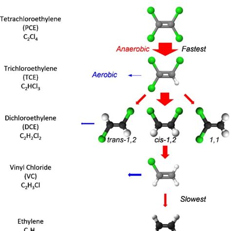 Spatial projections of trichloroethylene biodegradation indices: (a ...