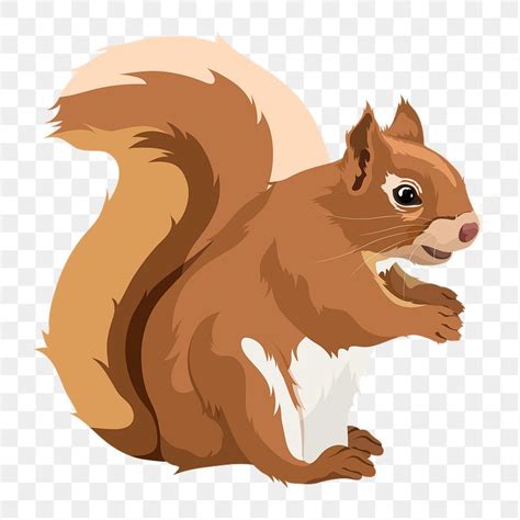 Squirrel png, rodent animal illustration | Premium PNG - rawpixel