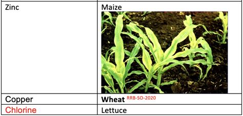 Soil Nutrients