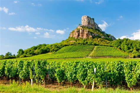 Bourgogne | Wine Region Guide