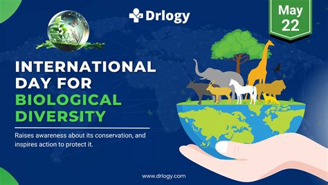 What is the theme of the Biodiversity Day in 2023?