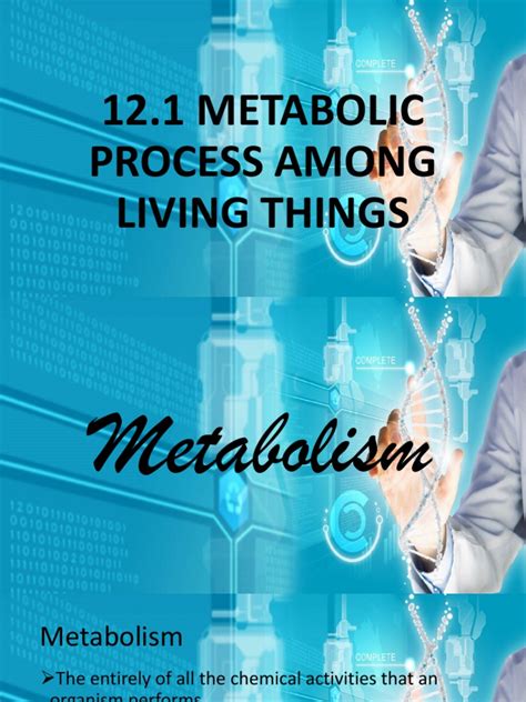 12.01 Metabolic Process | Metabolism | Lymphatic System | Free 30-day Trial | Scribd