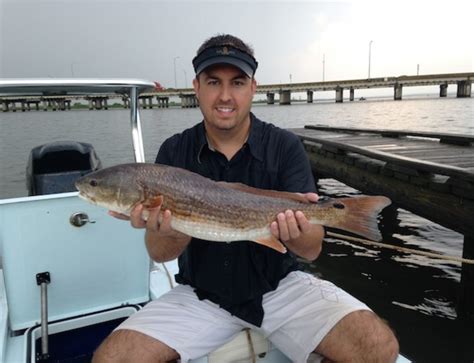 Mobile Bay Fishing Report: Jan 2015 | Fly and Light Tackle Fishing ...