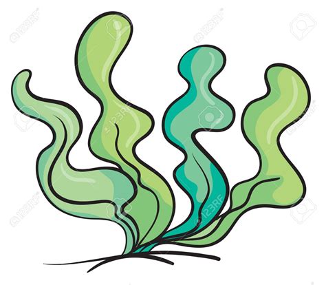 Sea Plants Clipart at GetDrawings | Free download