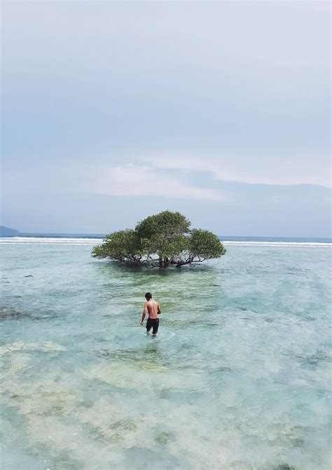 29 Coolest Things to Do on Gili T, as Tried By Me