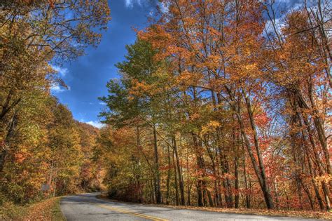 Georgia's Fall Foliage Is Expected To Be Bright And Bold This Year