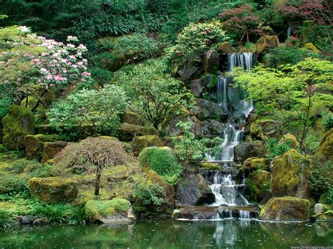 Desktop Wallpapers » Natural Backgrounds » Japanese Gardens, Portland ...