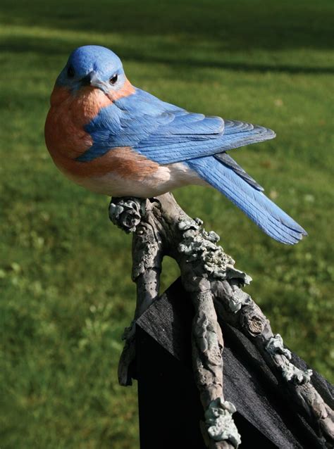 Eastern Bluebird bird wood carving: Eastern Bluebird Wood Carving | Bird carving, Bird carving ...