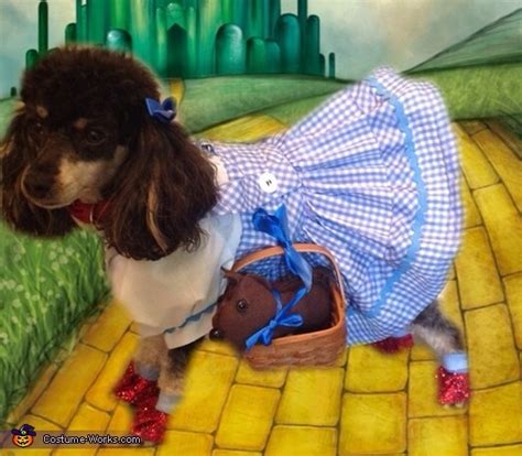 Wizard of Oz Dorothy Dog Costume - Photo 2/3