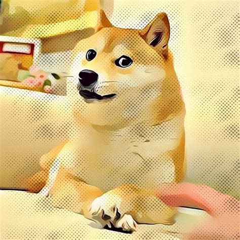 Doge Art