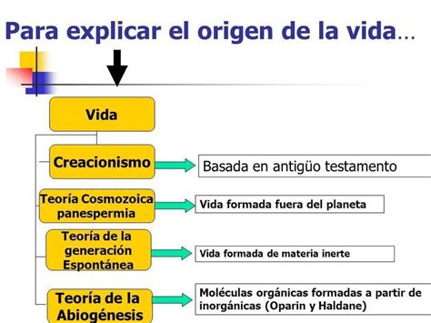 Las Teorias De El Origen De La Vida - Rela