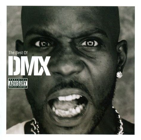 Best Buy: The Best of DMX [CD] [PA]