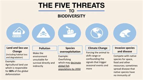 What was the UN’s Biodiversity Conference (COP15), and what were its ...