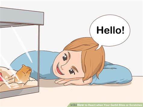 How to React when Your Gerbil Bites or Scratches: 10 Steps