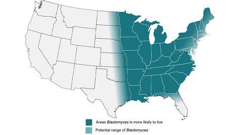 What Causes Blastomycosis | Blastomycosis | CDC