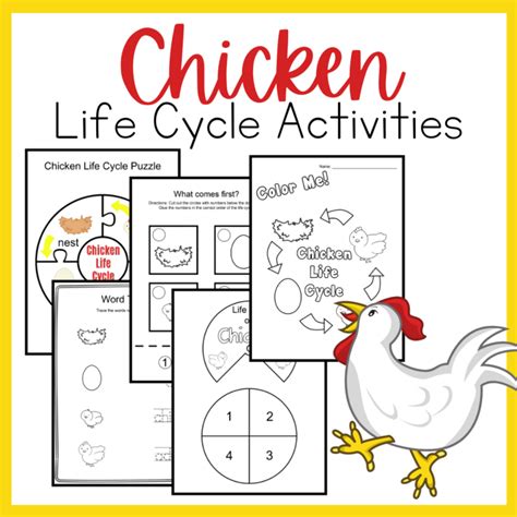 Life Cycle of a Chicken Preschool Printables