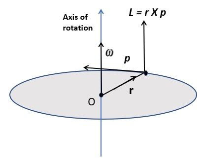 Angular Momentum- Definition, Formula, Unit, FAQs