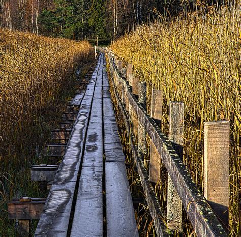 first frost fall 2014- After a cold night frost on the broadway Photograph by Leif Sohlman ...