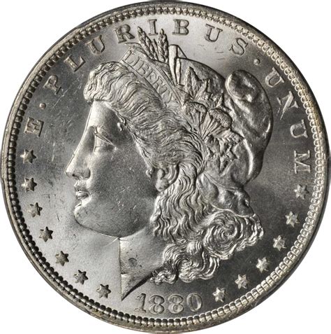 Value of 1880 Morgan Dollar | Rare Silver Dollar Buyers