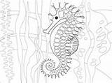 Coloriage  Hippocampe Coloriages à Imprimer Gratuits sketch template